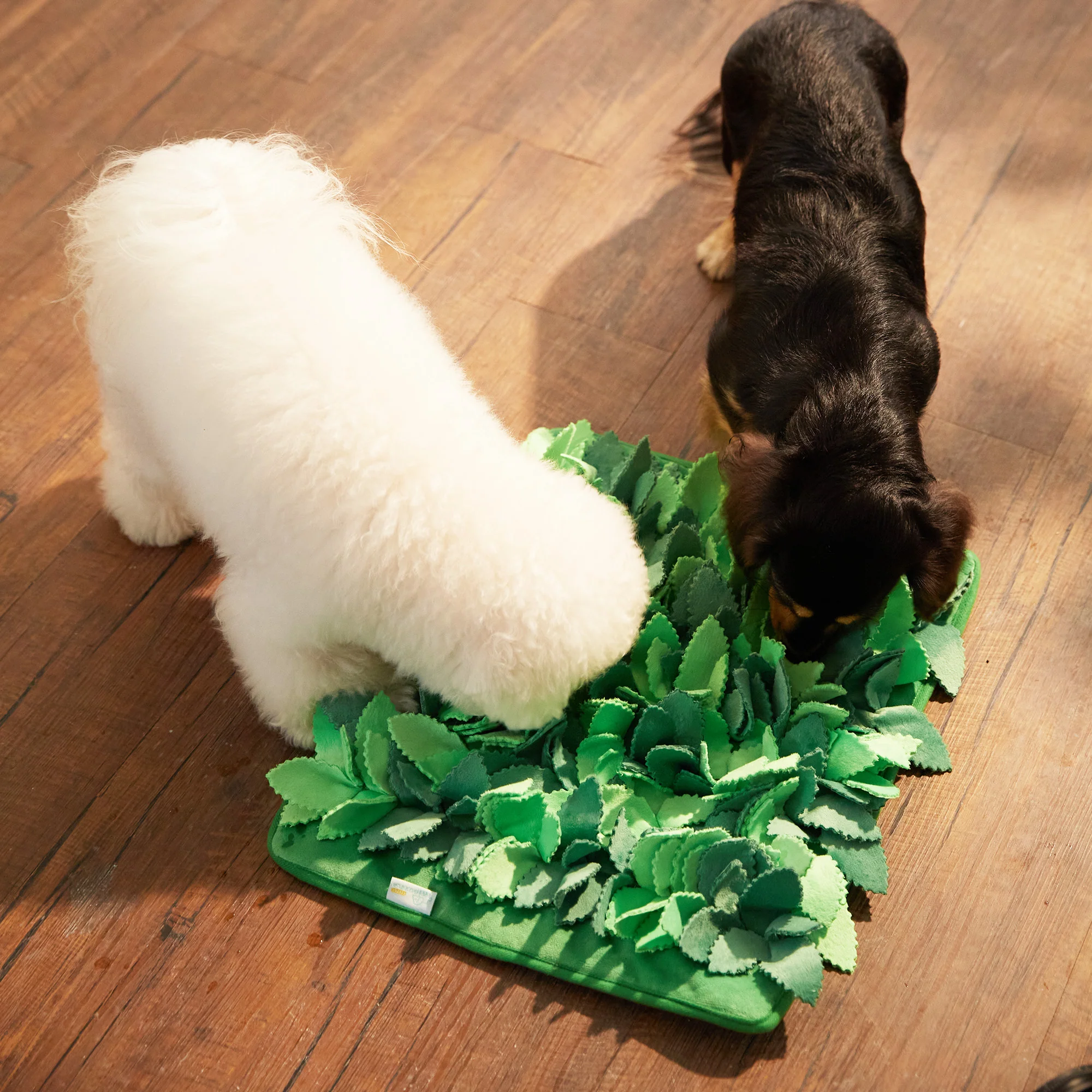 Dog Puzzle Grass Sniffle Mat - Hide, Seek, Feast! (Green) - Image 6