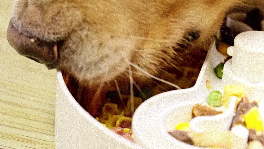 Puzzle Licker Maze - Triple Textures, Triple Fun (Yellow) - Image 7